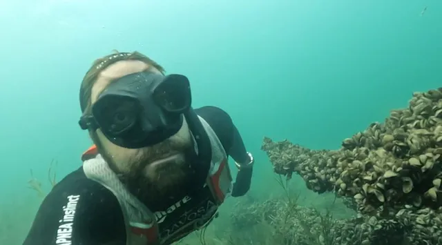 Tauchend um den Bodensee